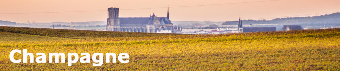 2016 Bourgogne Champagne Reims