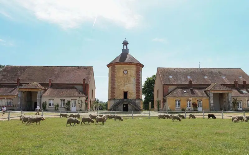 2023 ile de france sortie bergerie